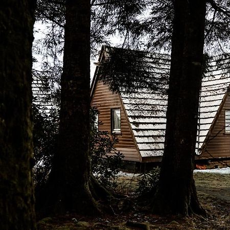 The Triangle Lodge Invergarry Extérieur photo